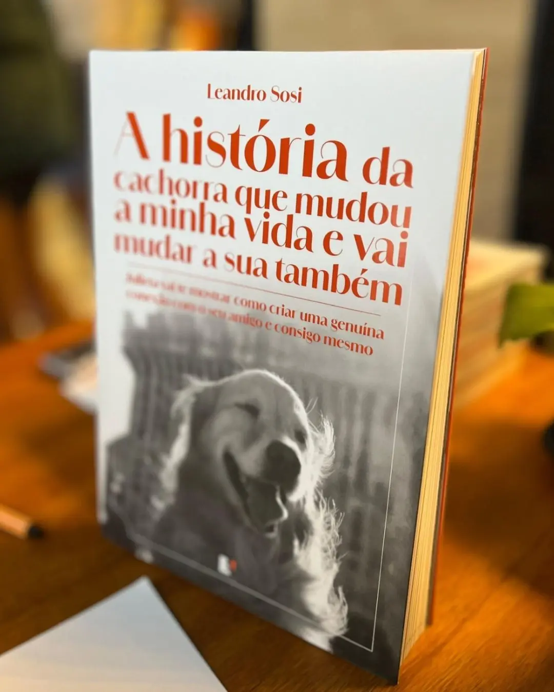 Exemplar físico do livro A história da cachorra que mudou a minha vida e vai mudar a sua também, de Leandro Sosi